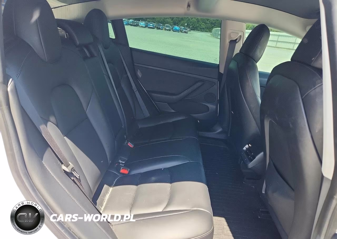 2021 Tesla Model 3 VIN:5YJ3E1EA3MF066488 - 10