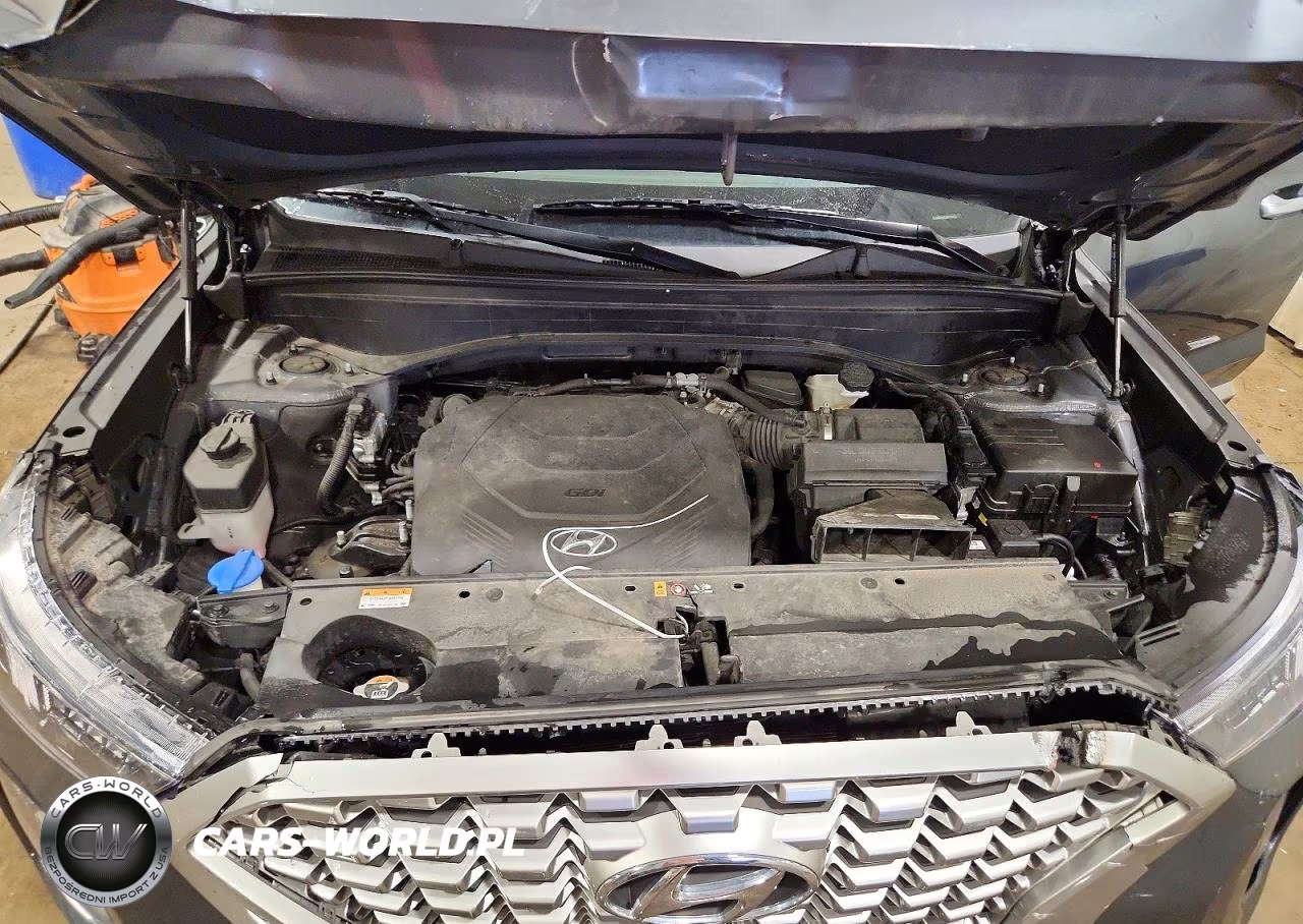 2021 Hyundai Palisade Sel VIN:KM8R4DHE5MU231912 - 12