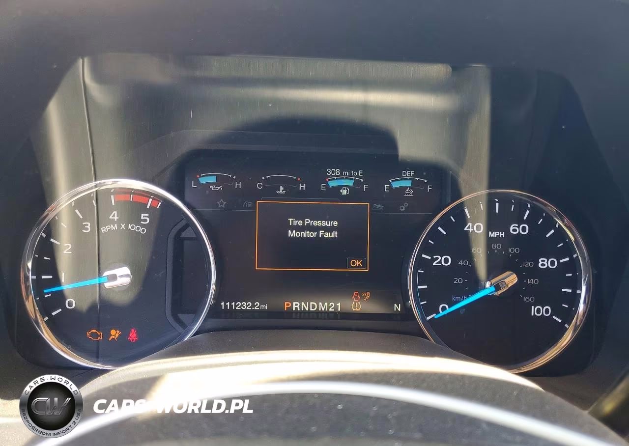 2017 Ford F250 Super Duty VIN:1FT7W2BT9HEF16873 - 9