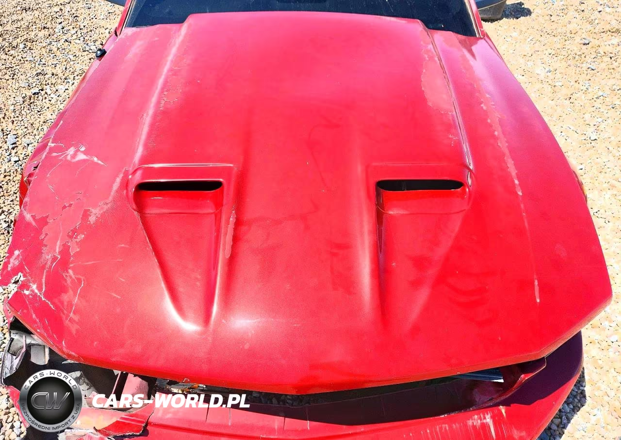 2008 Ford Mustang VIN:1ZVHT80N985132979 - 11