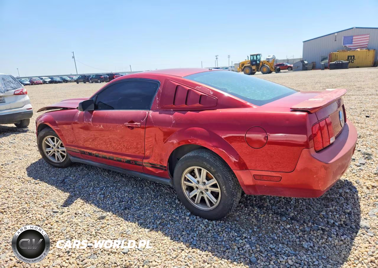 2008 Ford Mustang VIN:1ZVHT80N985132979 - 2