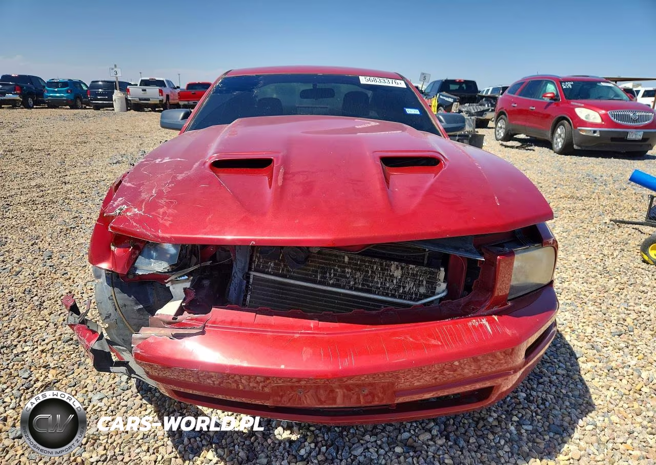 2008 Ford Mustang VIN:1ZVHT80N985132979 - 5