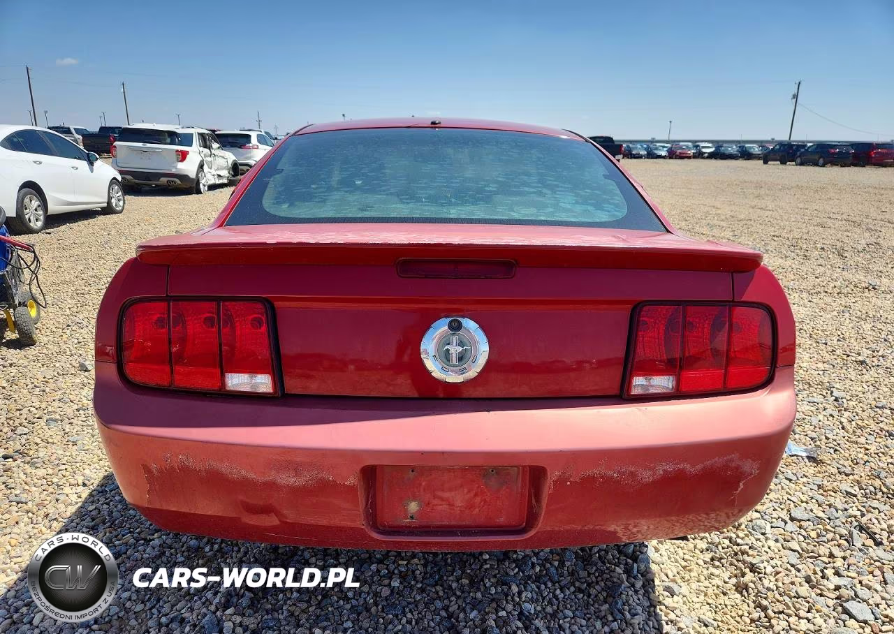 2008 Ford Mustang VIN:1ZVHT80N985132979 - 6