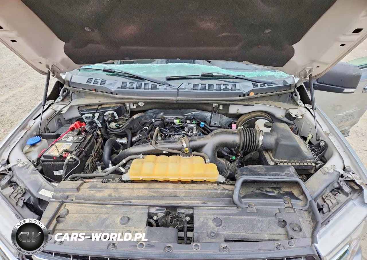 2020 Ford F150 Supercrew VIN:1FTEW1CP9LKF44007 - 11