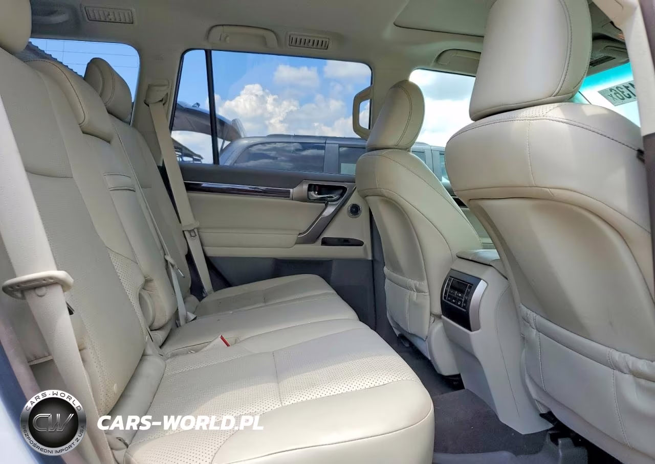2016 Lexus Gx 460 Premium VIN:JTJJM7FX8G5140197 - 10
