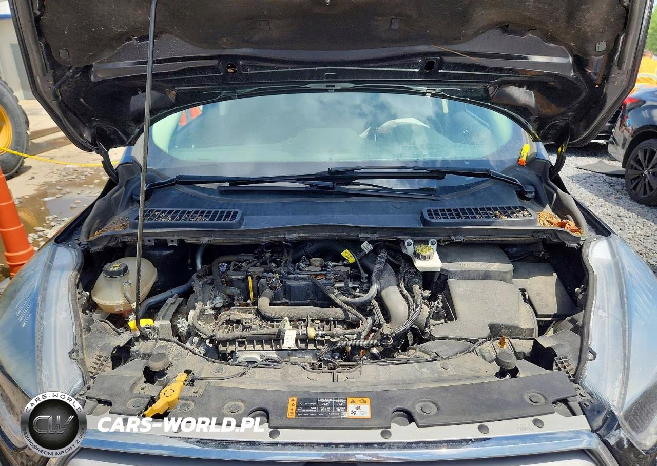 2019 Ford Escape Se VIN:1FMCU9GD3KUA32821 - 12