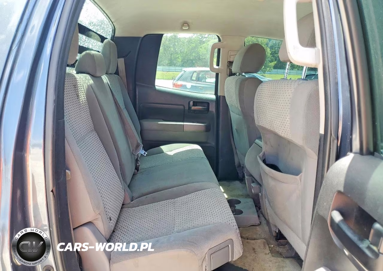 2010 Toyota Tundra Double Cab Sr5 VIN:5TFRM5F17AX015810 - 10