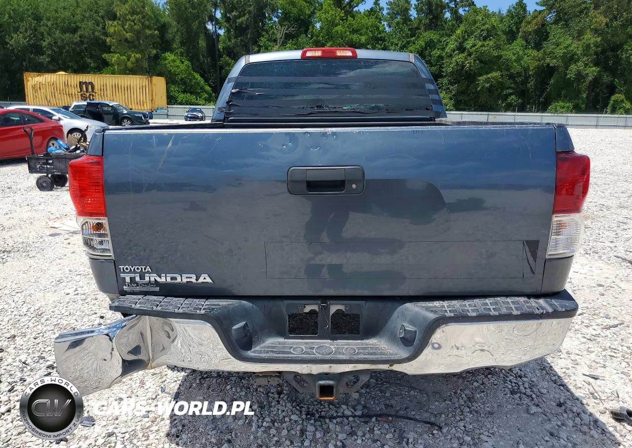 2010 Toyota Tundra Double Cab Sr5 VIN:5TFRM5F17AX015810 - 6