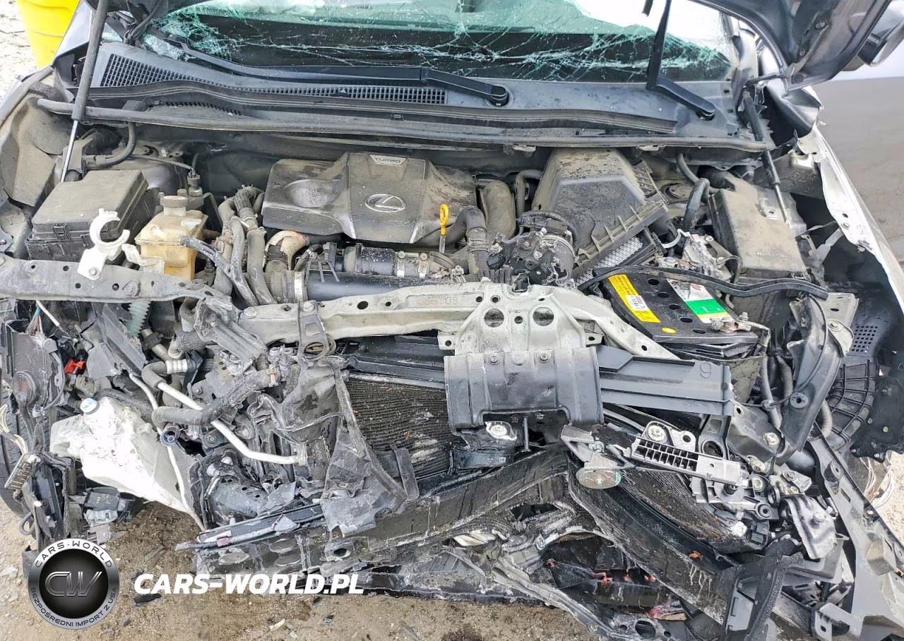 2019 Lexus Nx 300 F Sport VIN:JTJYARBZ5K2152392 - 12
