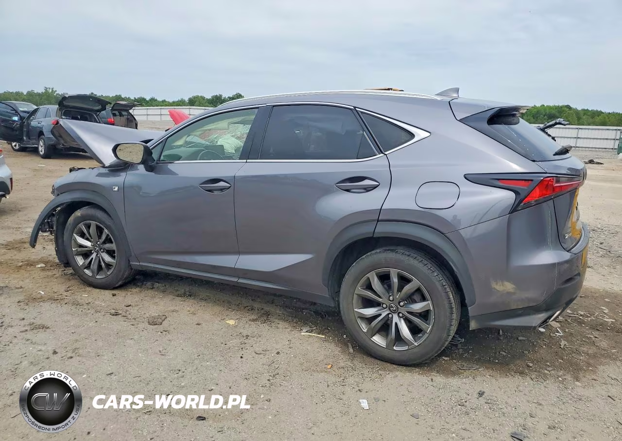 2019 Lexus Nx 300 F Sport VIN:JTJYARBZ5K2152392 - 2