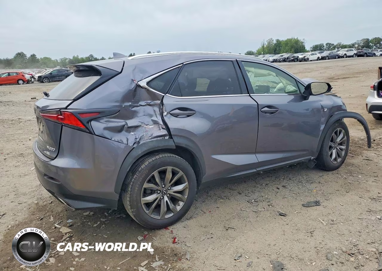 2019 Lexus Nx 300 F Sport VIN:JTJYARBZ5K2152392 - 3