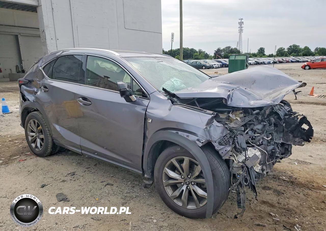 2019 Lexus Nx 300 F Sport VIN:JTJYARBZ5K2152392 - 4