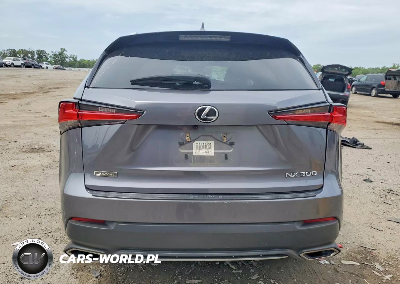2019 Lexus Nx 300 F Sport VIN:JTJYARBZ5K2152392 - 6