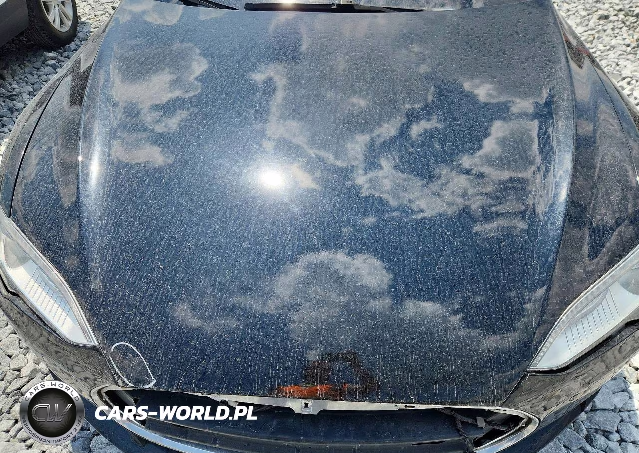 2013 Tesla Model S VIN:5YJSA1CG9DFP07786 - 11
