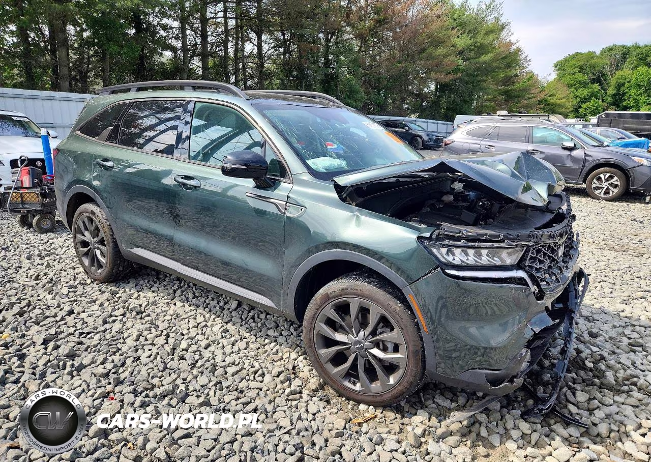 2022 Kia Sorento Ex VIN:5XYRHDLF4NG103205 - 4