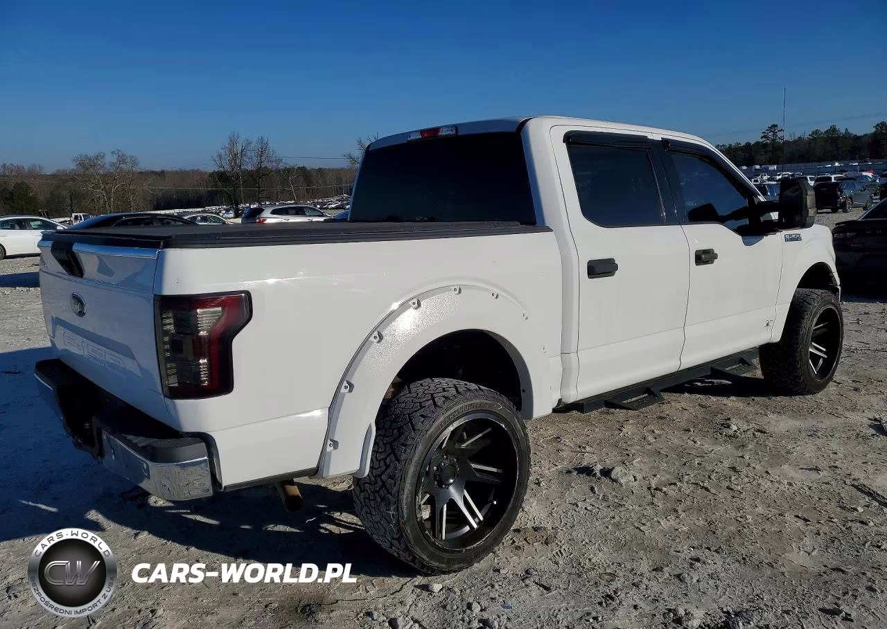 2018 Ford F150 Supercrew VIN:1FTEW1CB3JFD15011 - 3
