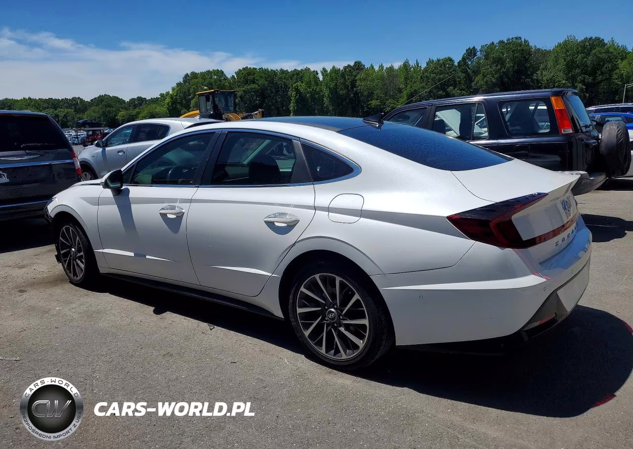 2020 Hyundai Sonata Limited VIN:5NPEH4J26LH010450 - 2