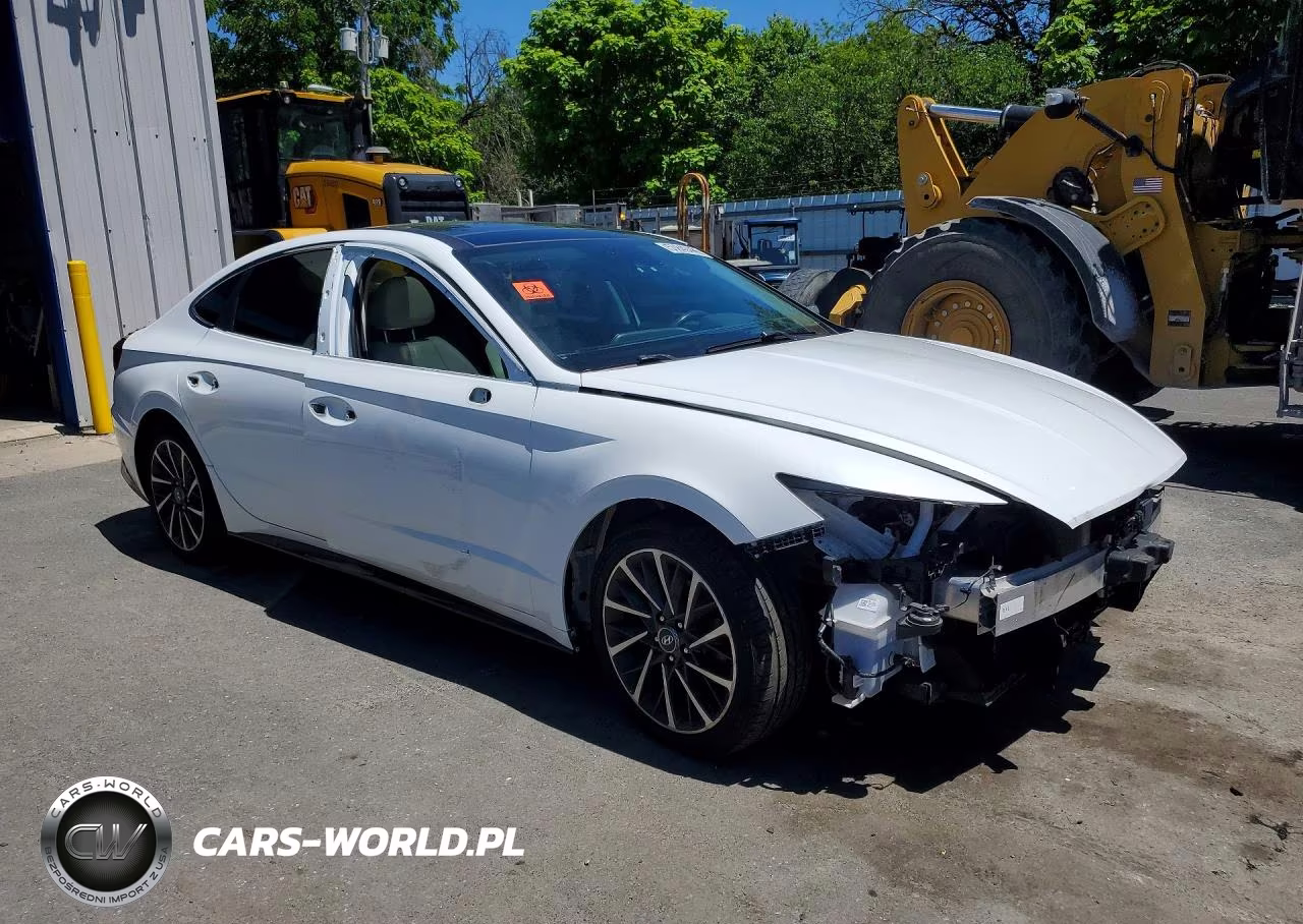 2020 Hyundai Sonata Limited VIN:5NPEH4J26LH010450 - 4