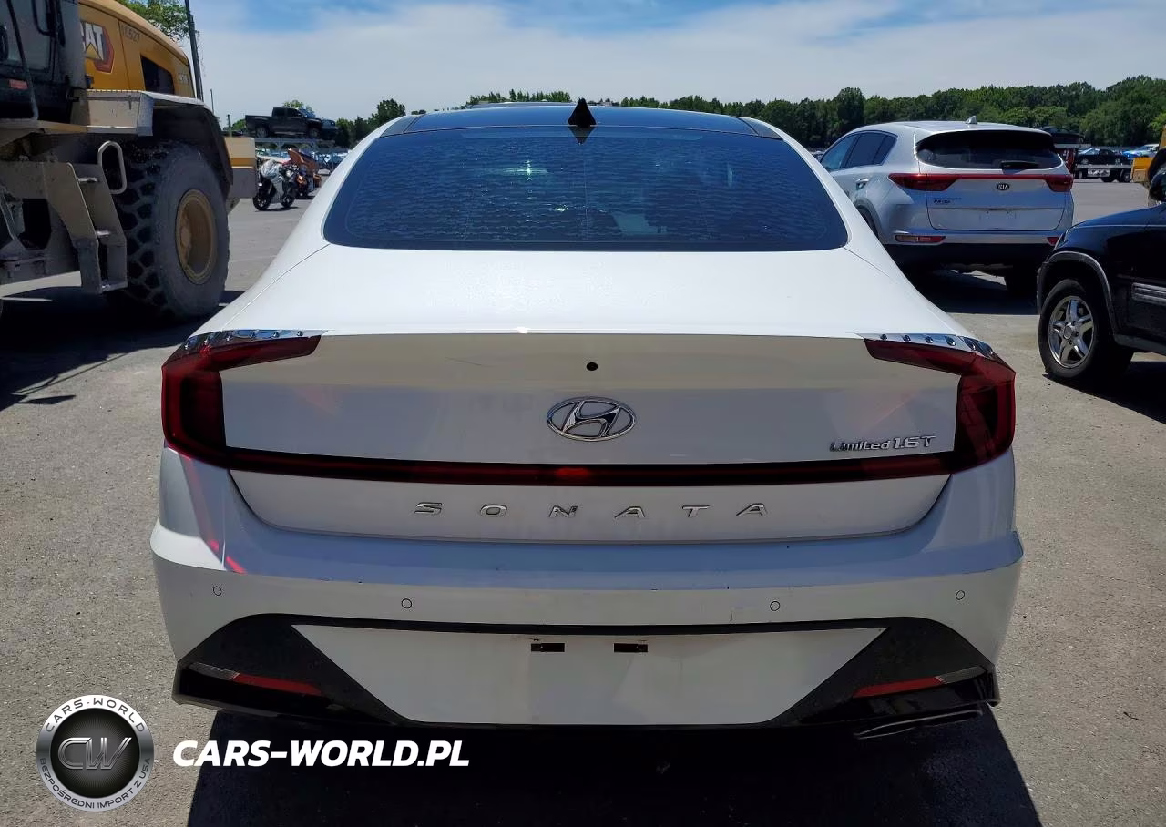 2020 Hyundai Sonata Limited VIN:5NPEH4J26LH010450 - 6