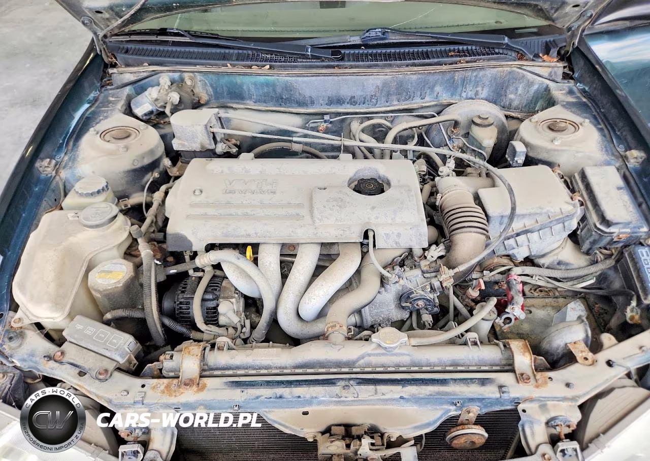 2001 Chevrolet Geo Prizm Base VIN:1Y1SK52801Z429425 - 11