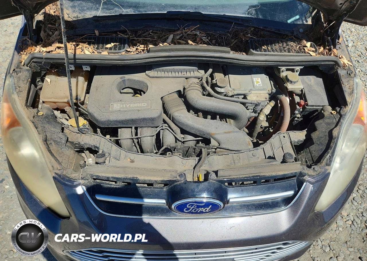 2013 Ford C-Max Sel VIN:1FADP5BUXDL531873 - 12