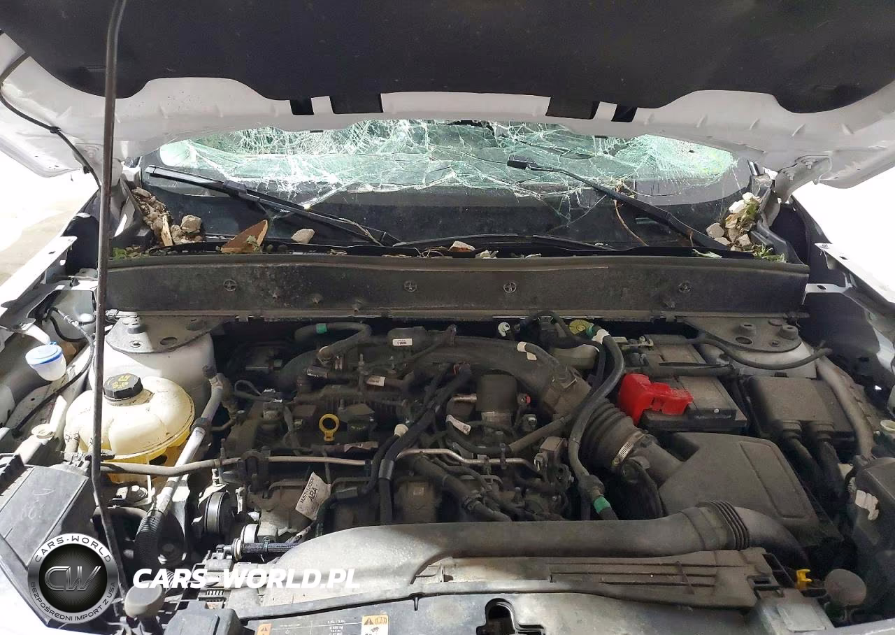 2023 Ford Bronco Sport Badlands VIN:3FMCR9D90PRE36160 - 12