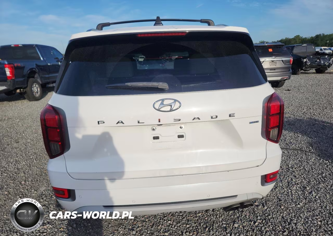 2022 Hyundai Palisade Limited VIN:KM8R5DHE5NU401636 - 6