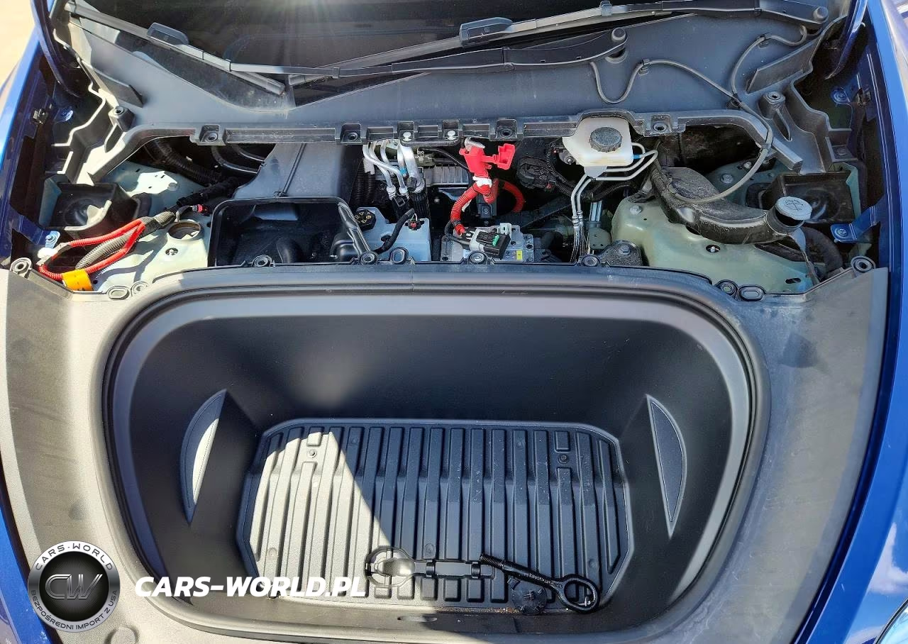 2023 Tesla Model Y VIN:7SAYGDEE6PA148160 - 11