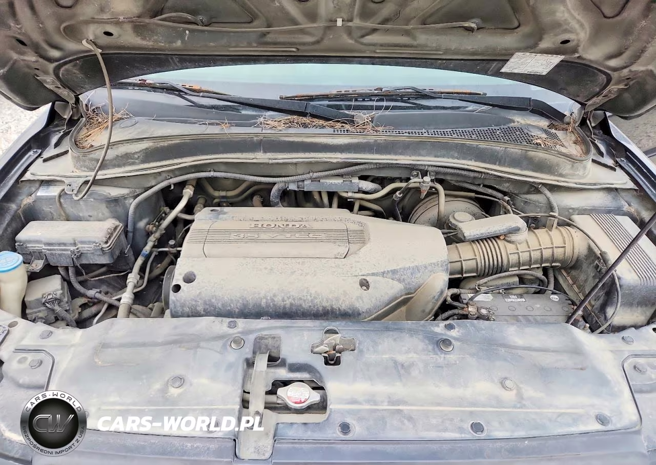 2003 Honda Pilot Exl VIN:2HKYF18603H533764 - 11