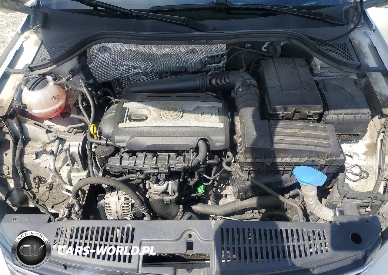 2014 Volkswagen Tiguan S VIN:WVGAV3AXXEW028827 - 12