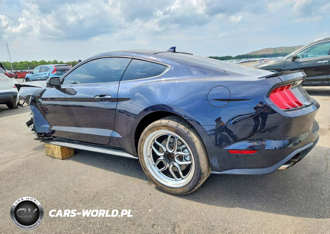 2021 Ford Mustang Gt VIN:1FA6P8CF6M5145305 - 2