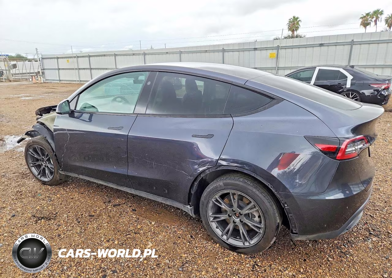 2024 Tesla Model Y VIN:7SAYGDED1RF099690 - 2
