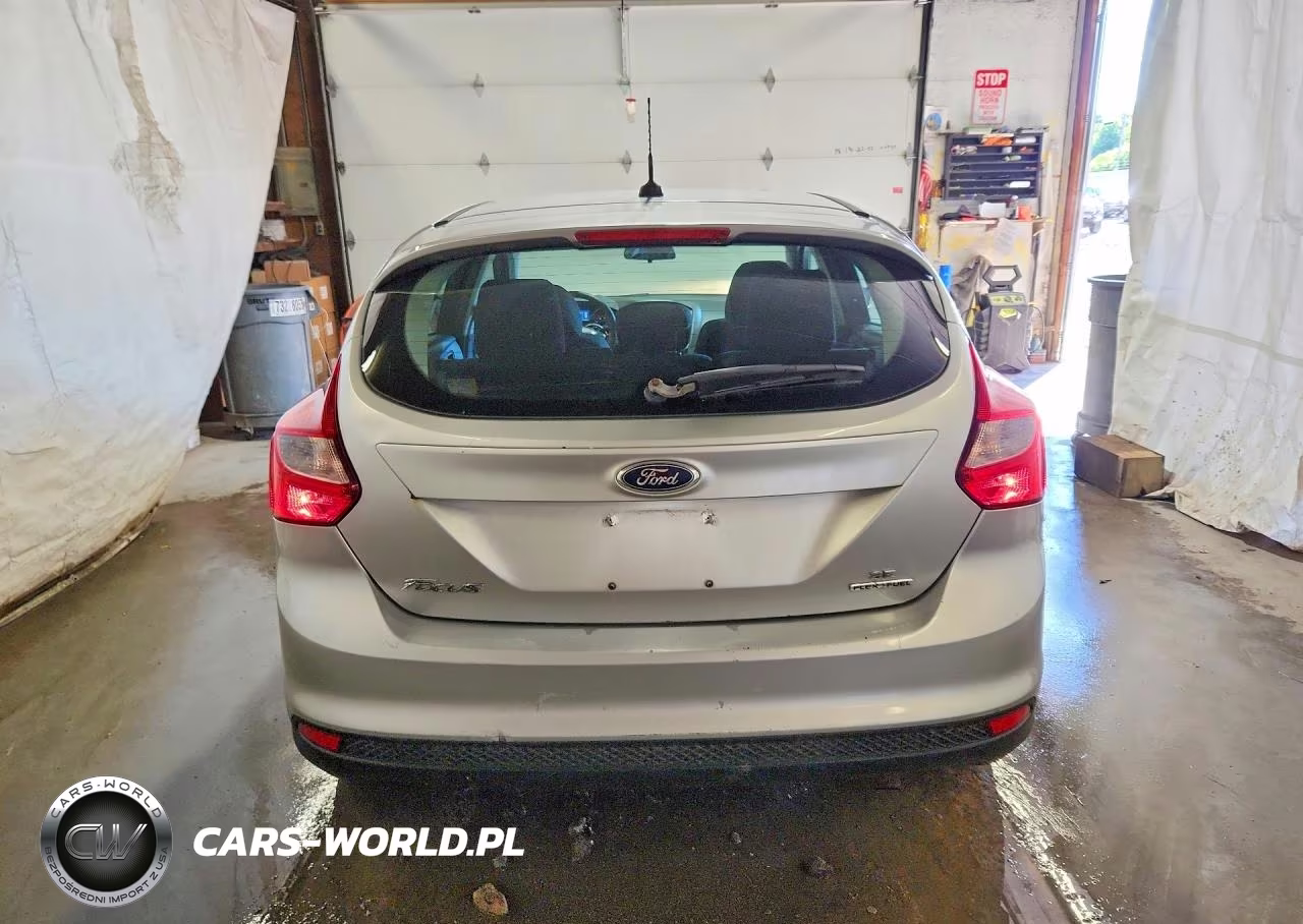 2013 Ford Focus VIN:1FADP3K22DL337096 - 6