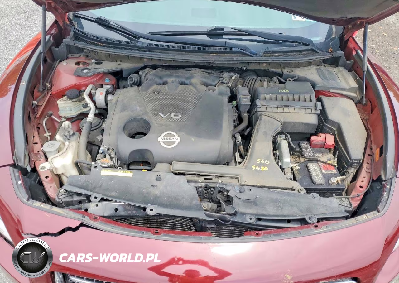 2009 Nissan Maxima 3.5 S VIN:1N4AA51E19C825166 - 11