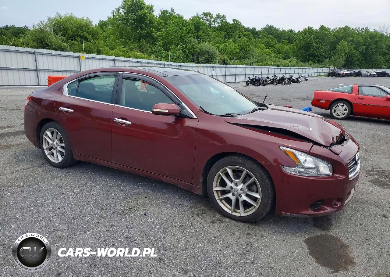 2009 Nissan Maxima 3.5 S VIN:1N4AA51E19C825166 - 4