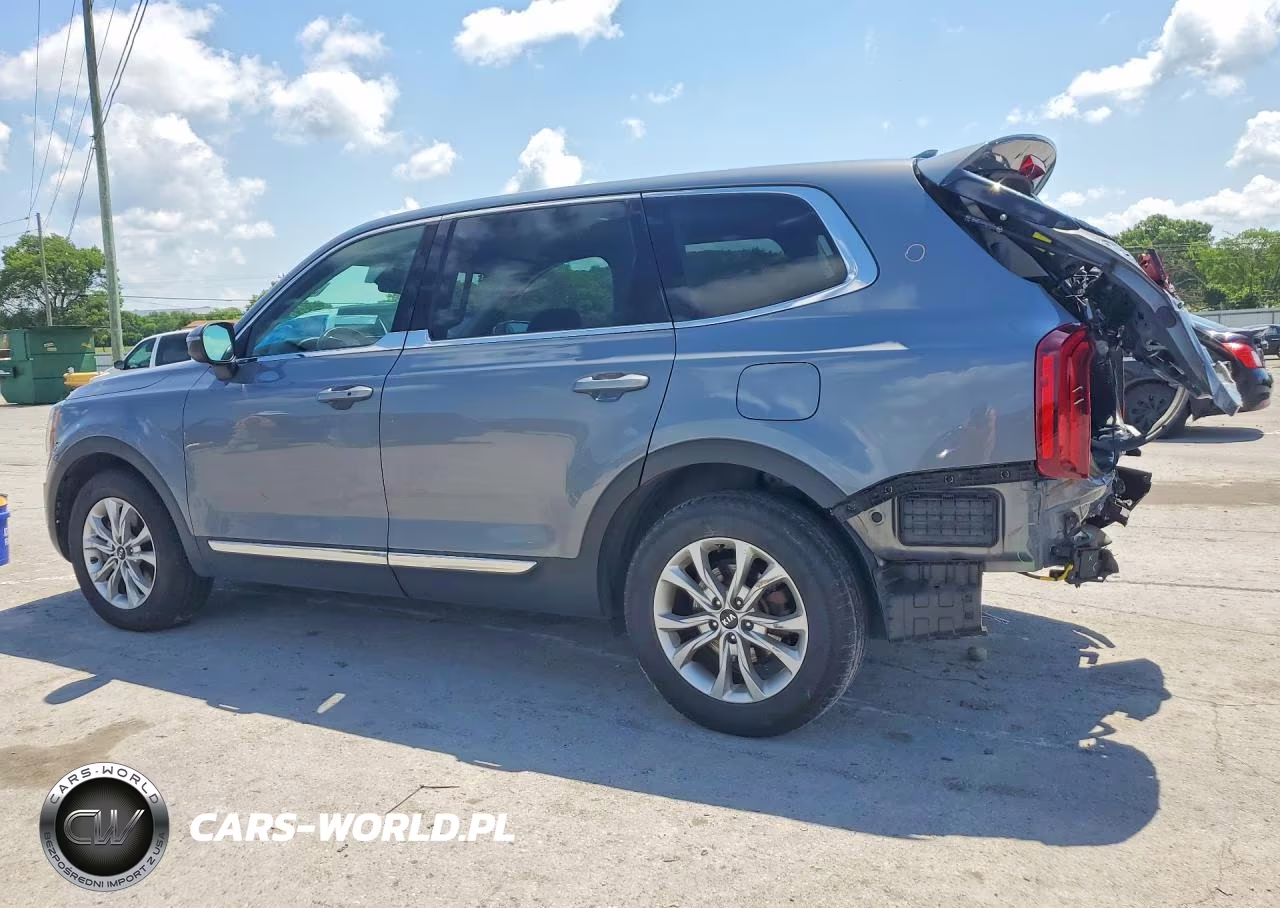2021 Kia Telluride Lx VIN:5XYP2DHC9MG150493 - 2