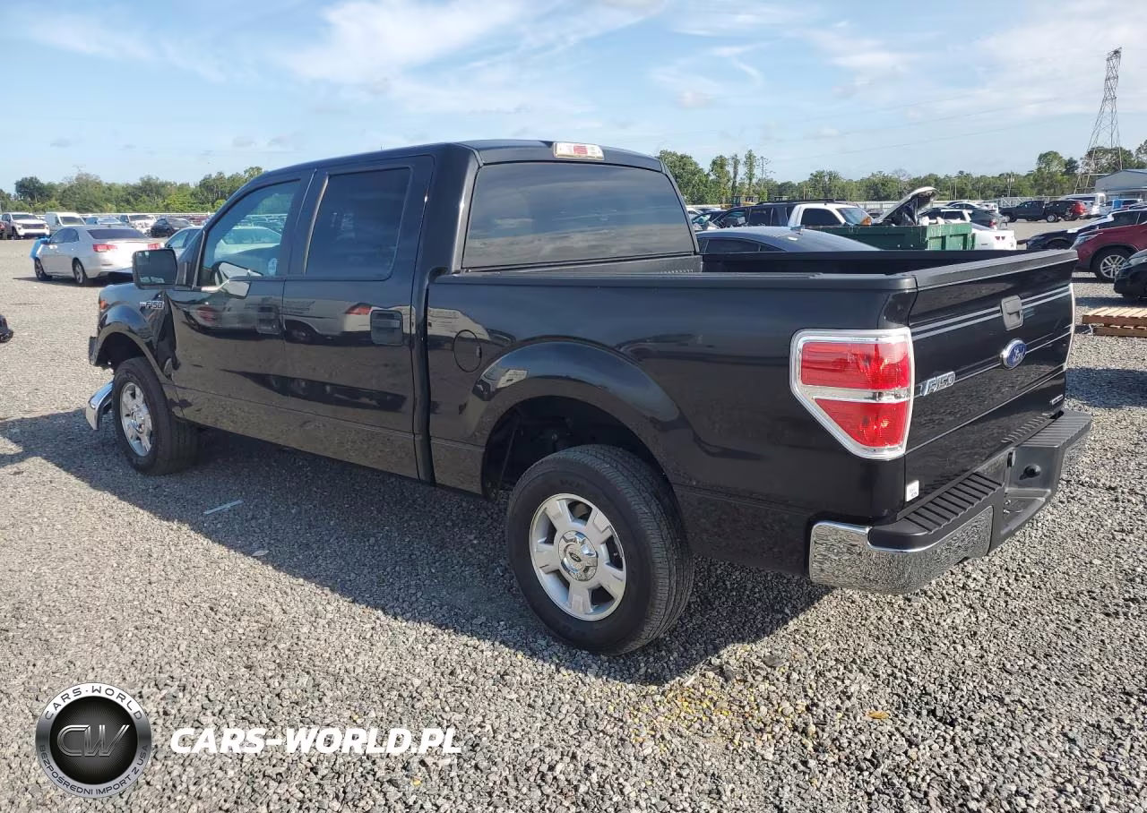 2014 Ford F150 Supercrew VIN:1FTEW1CM6EFA41679 - 2