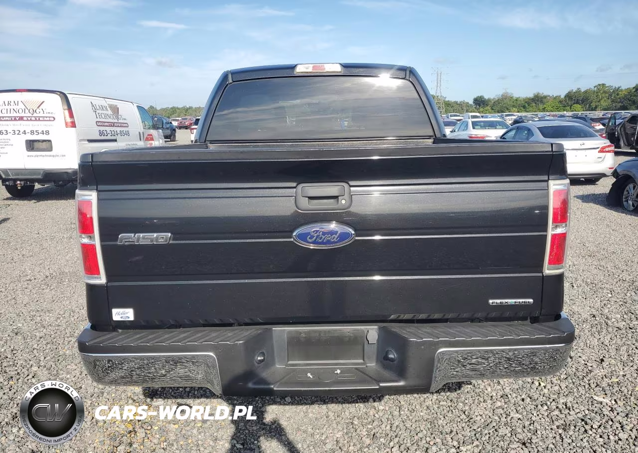 2014 Ford F150 Supercrew VIN:1FTEW1CM6EFA41679 - 6