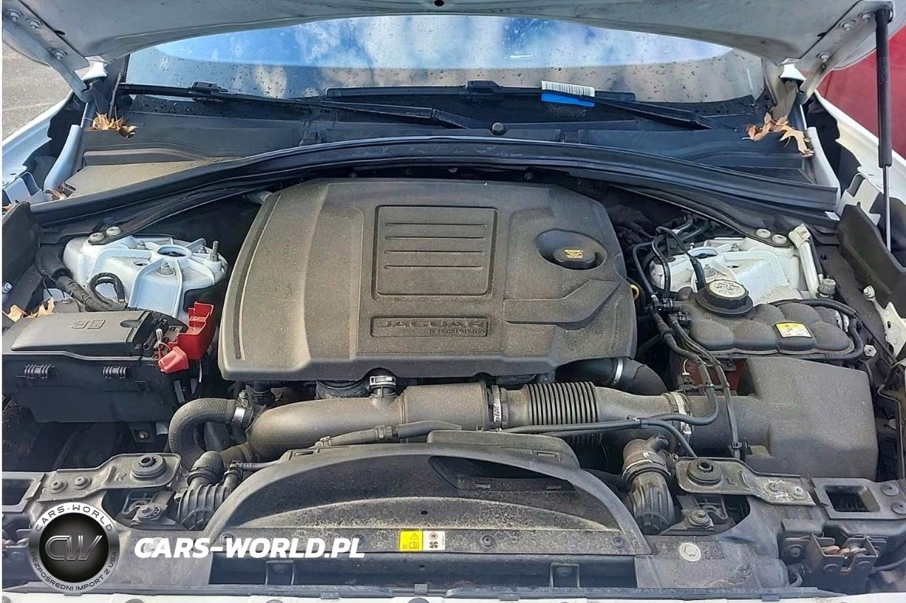 2019 Jaguar F-Pace Prestige VIN:SADCK2GX2KA601028 - 7