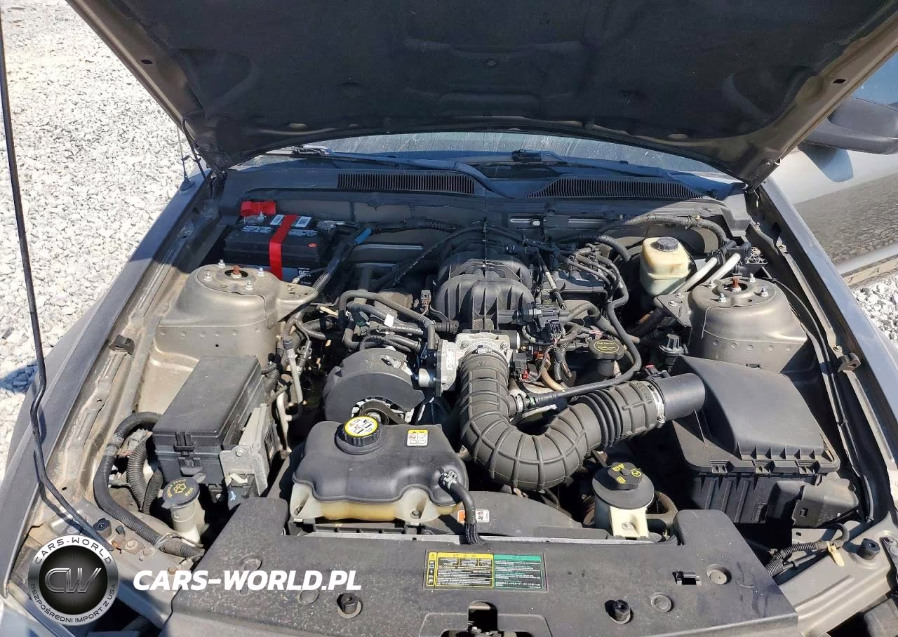 2005 Ford Mustang VIN:1ZVFT84NX55220310 - 11