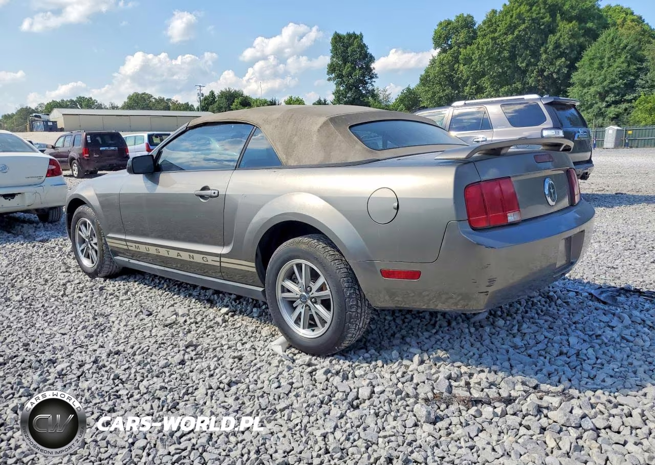 2005 Ford Mustang VIN:1ZVFT84NX55220310 - 2