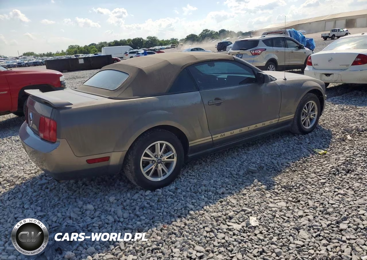 2005 Ford Mustang VIN:1ZVFT84NX55220310 - 3