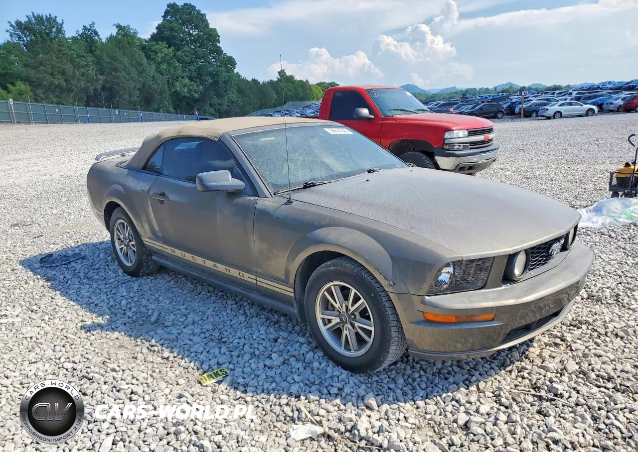 2005 Ford Mustang VIN:1ZVFT84NX55220310 - 4