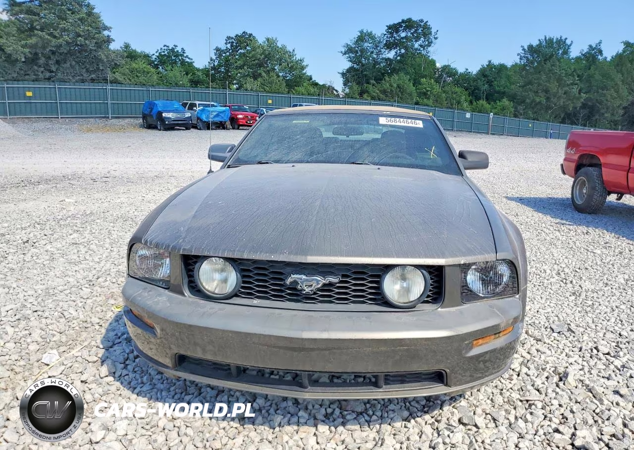 2005 Ford Mustang VIN:1ZVFT84NX55220310 - 5