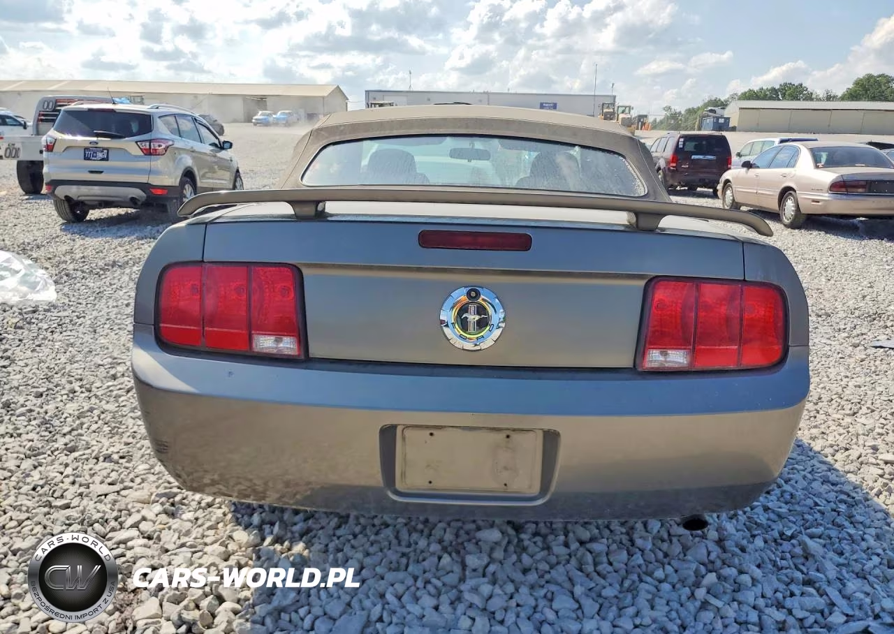 2005 Ford Mustang VIN:1ZVFT84NX55220310 - 6