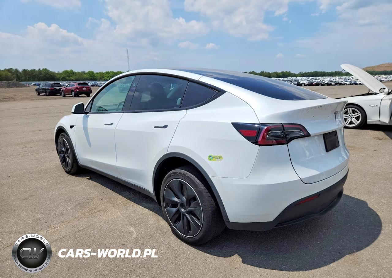 2024 Tesla Model Y VIN:7SAYGDEE5RF182628 - 2