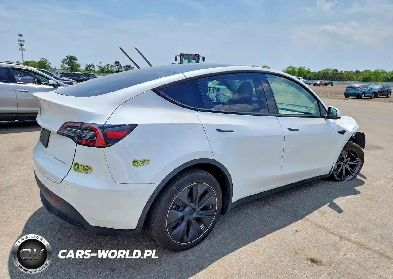 2024 Tesla Model Y VIN:7SAYGDEE5RF182628 - 3