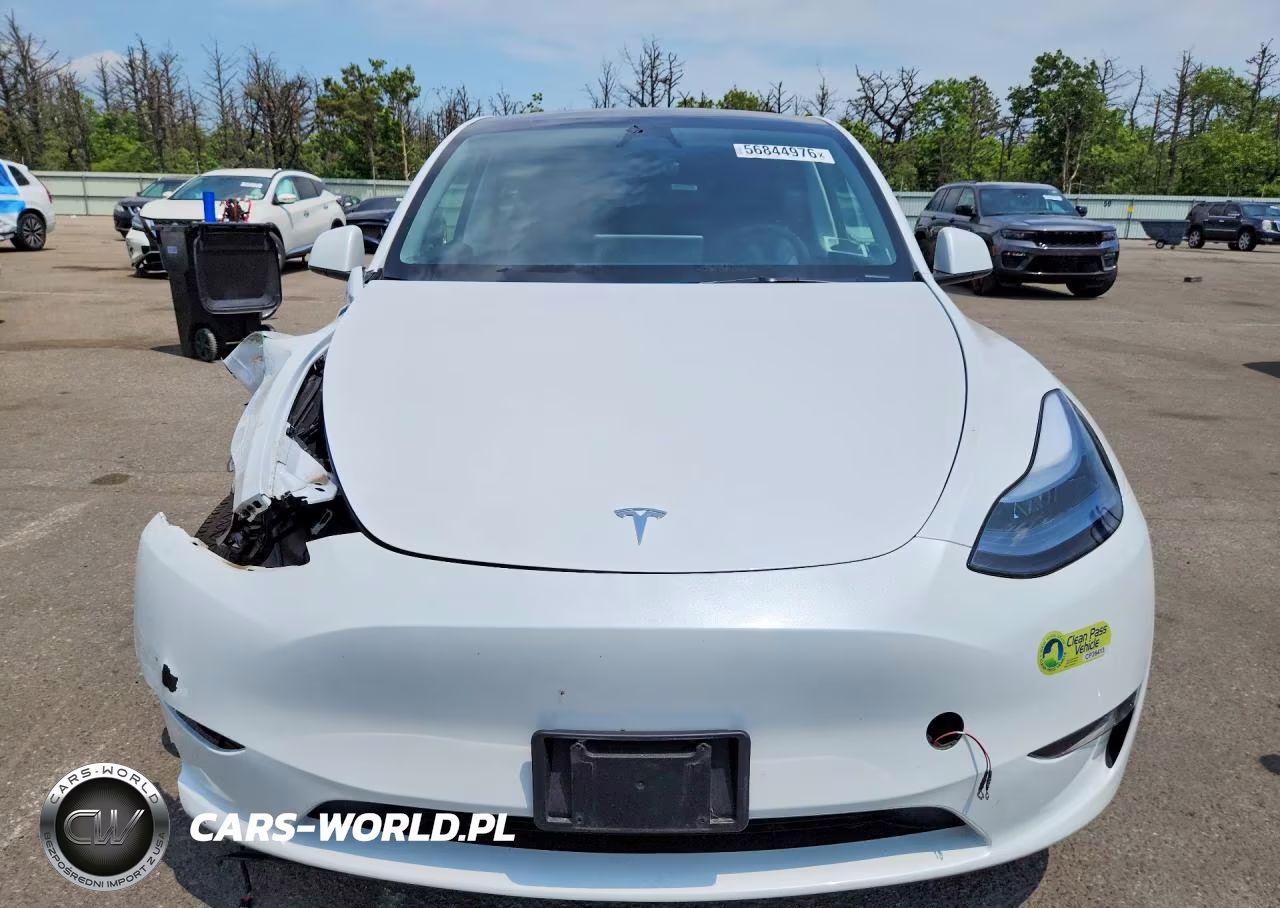 2024 Tesla Model Y VIN:7SAYGDEE5RF182628 - 5