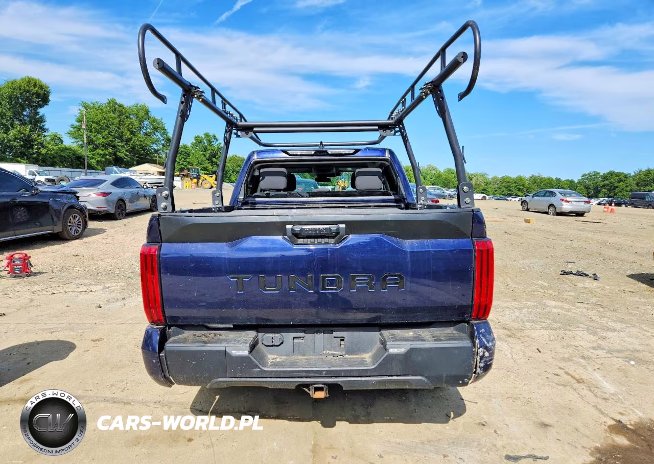 2022 Toyota Tundra Sr5 VIN:5TFLA5ABXNX014168 - 6