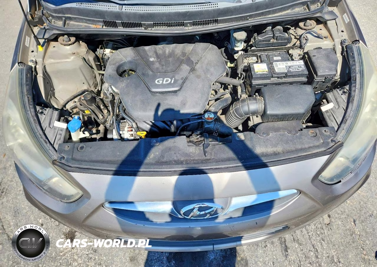 2014 Hyundai Accent Gs VIN:KMHCT5AE7EU141171 - 11